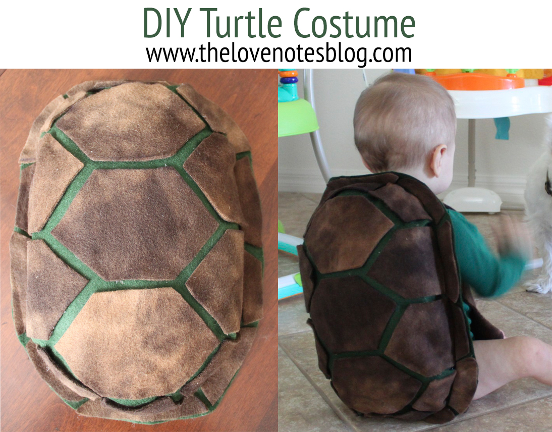 https://thelovenotesblog.com/wp-content/uploads/2015/10/DIY-turtle1.jpg