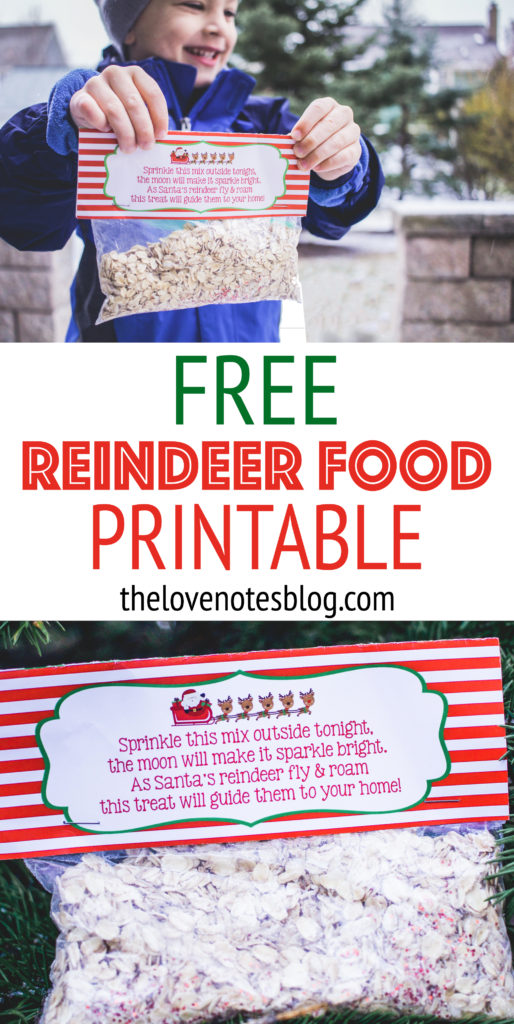 This image has an empty alt attribute; its file name is Reindeer-Food-Printable-Pin-514x1024.jpg