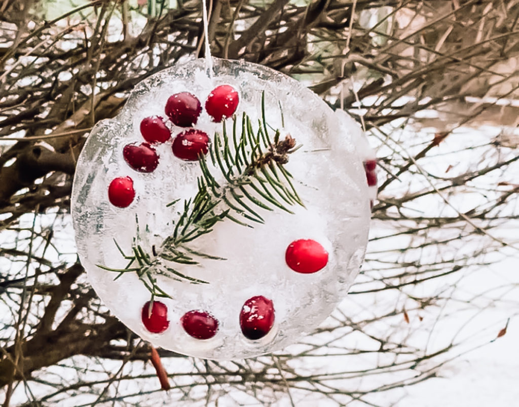 Make Your Own Ice Ornaments